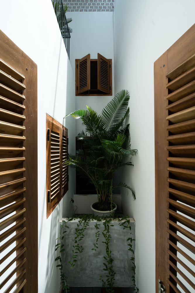 Rất nhiều cửa số và cây xanh